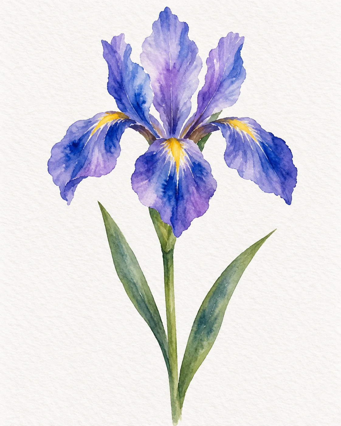 One Iris · Wet-on-Wet Watercolor Feathering